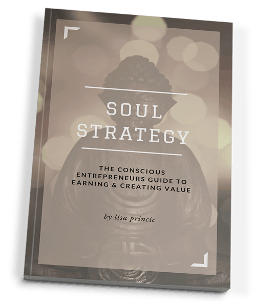 Soul Strategy book by Lisa Princic